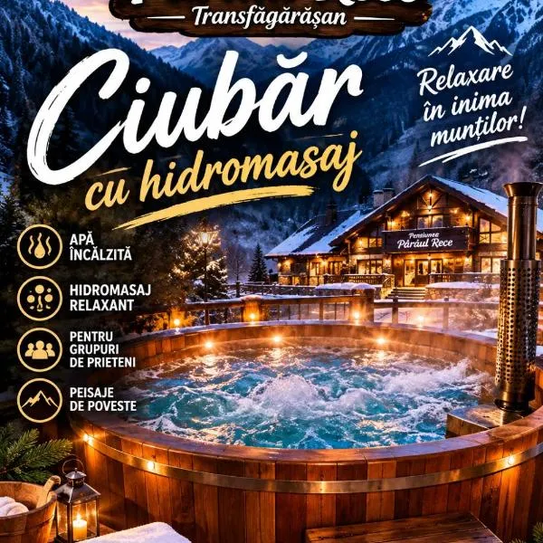 Pârâul Rece Transfăgărășan、クルツィショアラのホテル