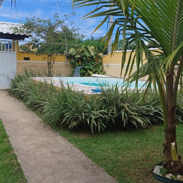 Ipe Amarelo de Jaconé