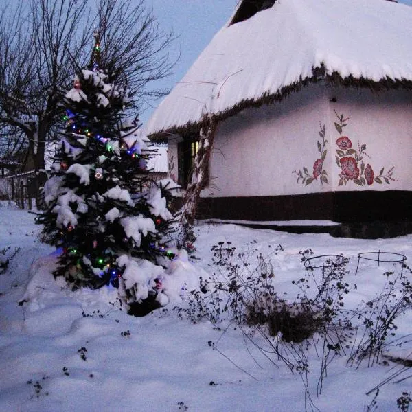 Koryakivskyi Rai, hotel in Brane Pole