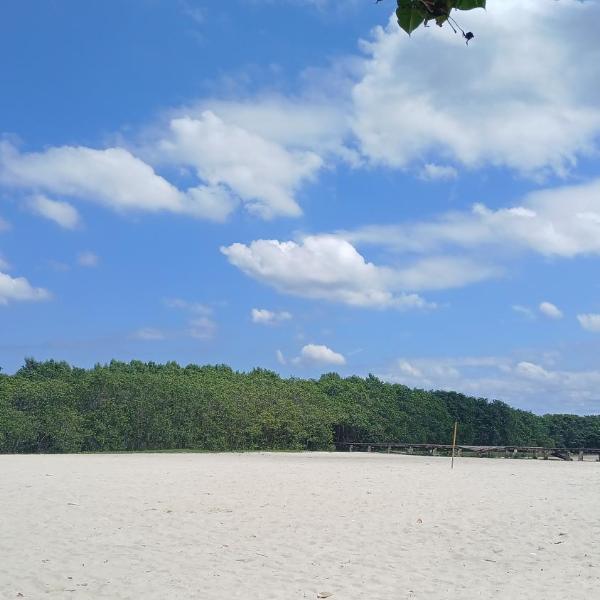 My house Mallet