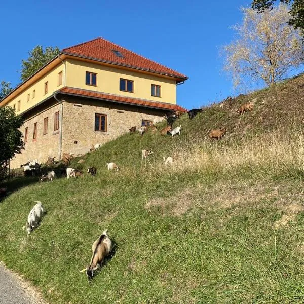 Villa Kasimir - Farmstay, hotell i Videm pri Ptuju
