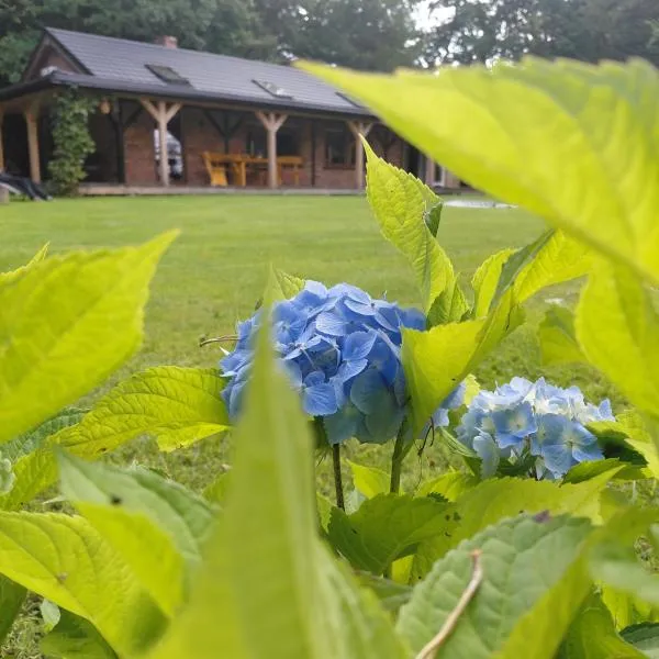 Zacisze Częstkowo, hotel sa Częstkowo