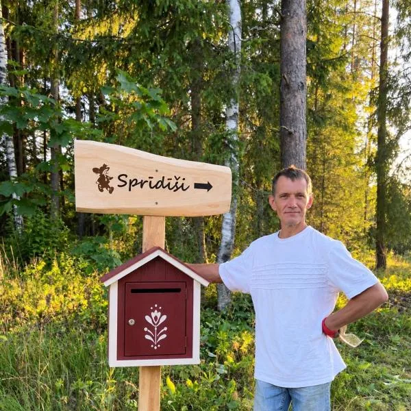 Sprīdīši, hotel Jaunpiebalga városában