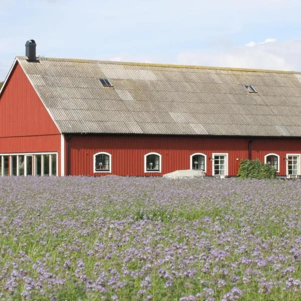 Ramsjögård Hotell, hotel u gradu 'Rammsjö'