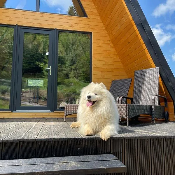 Macko's Cabins - A-Frames with Hot Tub & Mountain Views، فندق في بايلي توشناد