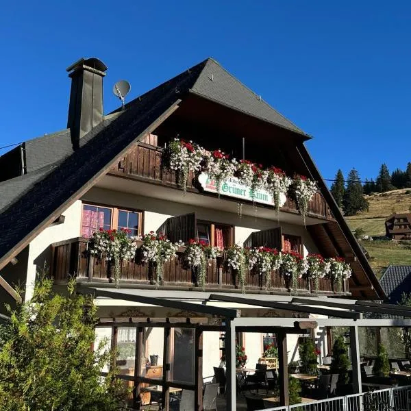 Hotel & Restaurant Grüner Baum - Die Grüne Oase Am Feldberg, hotel a Feldberg