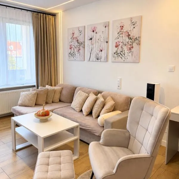 Apartament Helenka Modern, hotel v destinaci Zabrze