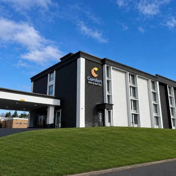 Comfort Inn & Suites Johnson City - Binghamton, hotel din Johnson City