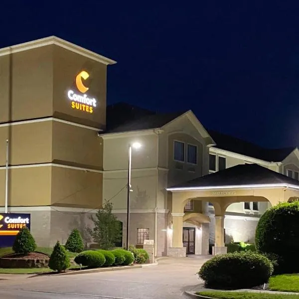 Comfort Suites Tyler South, hotel u gradu Tajler