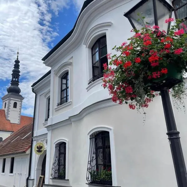 Hotel and Restaurant Phoenix – hotel w mieście Trnava