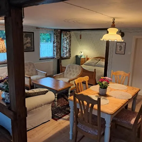 Przytulia Apartament Błękitny, hotel en Kopaniec