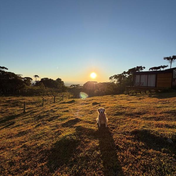 Tiny House - Leão Estelar
