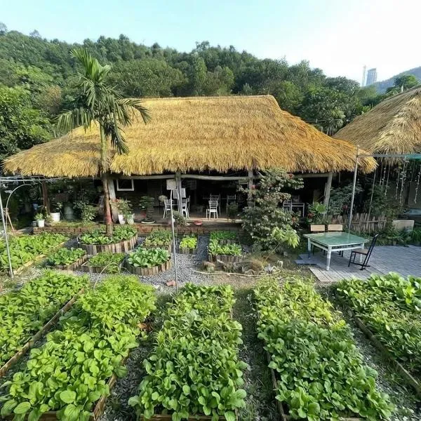 Bee Lucky Homestay Cát Bà, hotel di Cat Ba