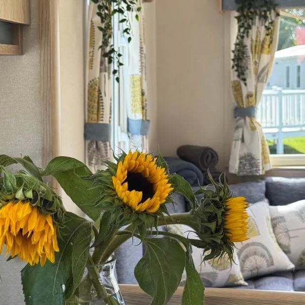 Sea and Sky caravan home, 3BR, sleeps 6, Central location, close to main facilities, hotel u gradu 'Port Seton'