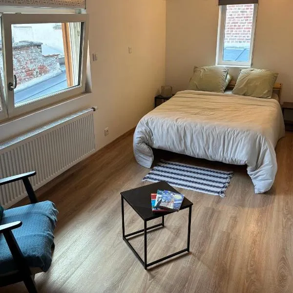 Le Chaufour Lille, hotel v destinácii Lille