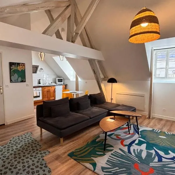 RhizHome - Coeur de ville, appartement spacieux, hotel di Auxerre