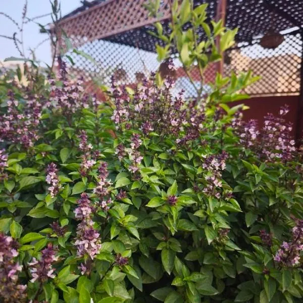 Dar Itran Sunny Apartment near Taghazout, отель в городе Аурир