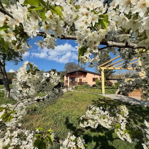 Casa Vacanze Galileo, отель в городе San Gregorio