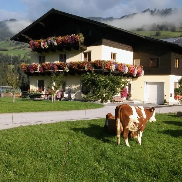 Rieserhof/Fam. Meißnitzer, hotel v destinaci Taxenbach