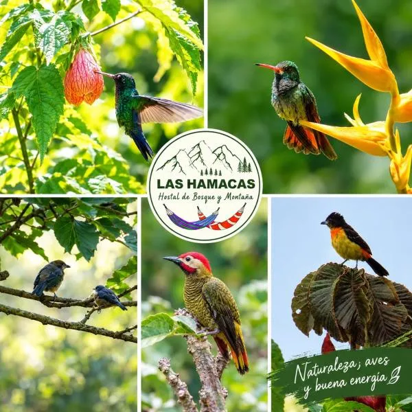 ECOHostal las Hamacas, hôtel à Villamaría