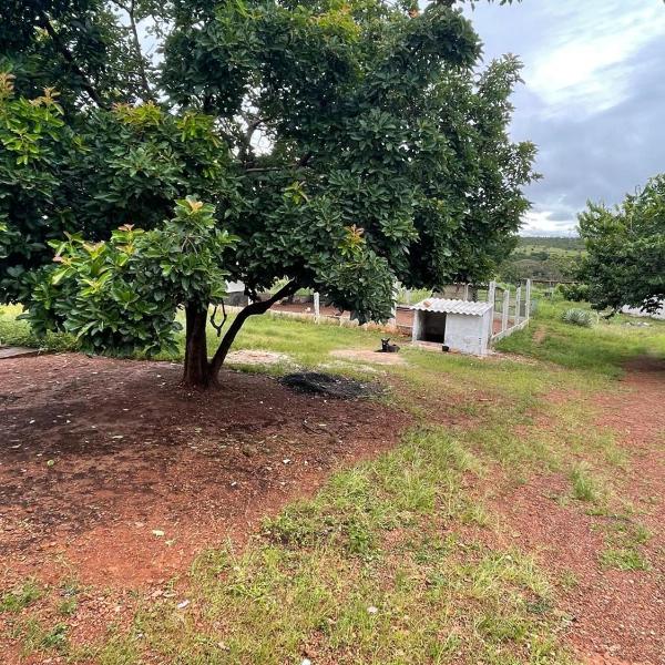 Fazenda Buritis - Foto 2