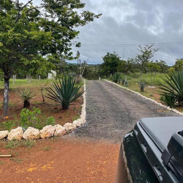 Fazenda Buritis - Foto 3