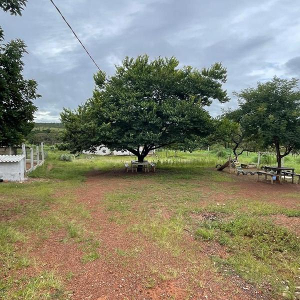Fazenda Buritis - Foto 4