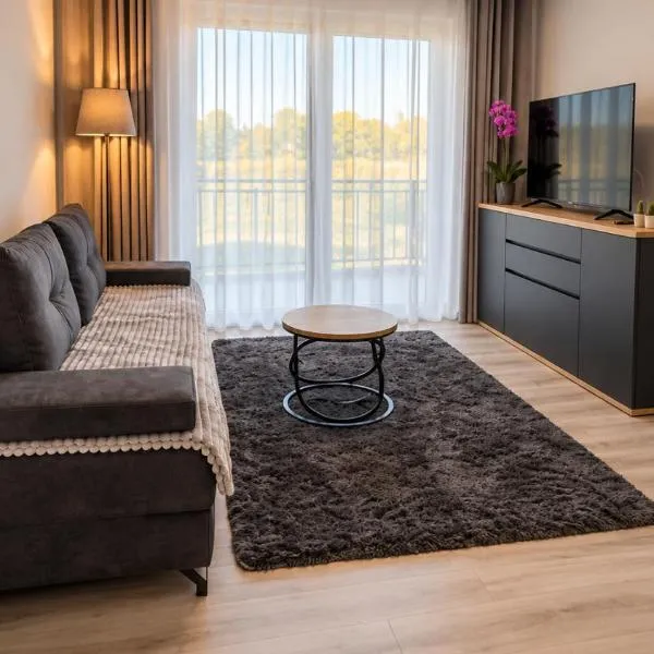 Apartament Grey, hotell i Gorzów Śląski