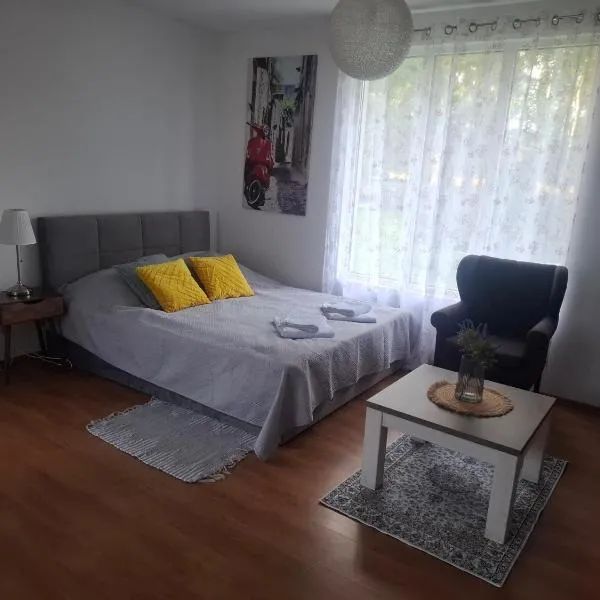 DOMEK na górce u Celiny, hotel in Dargobądz
