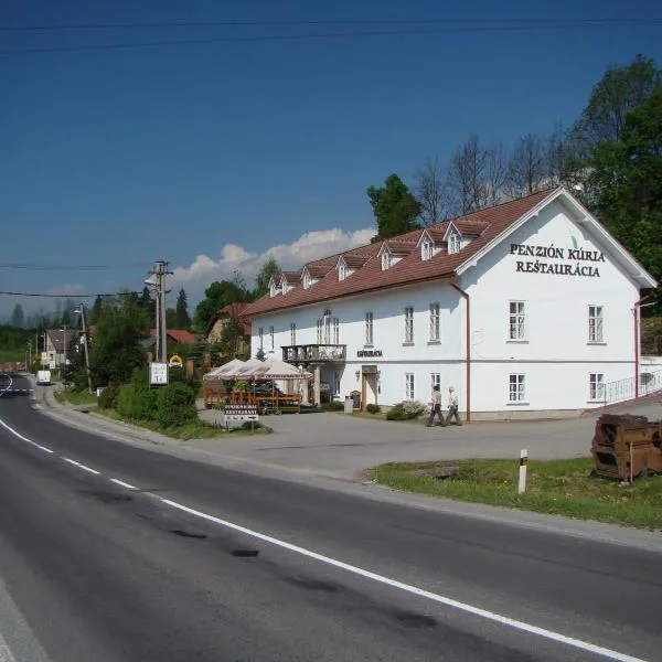 Penzión Kúria, hotel in Dolný Kubín