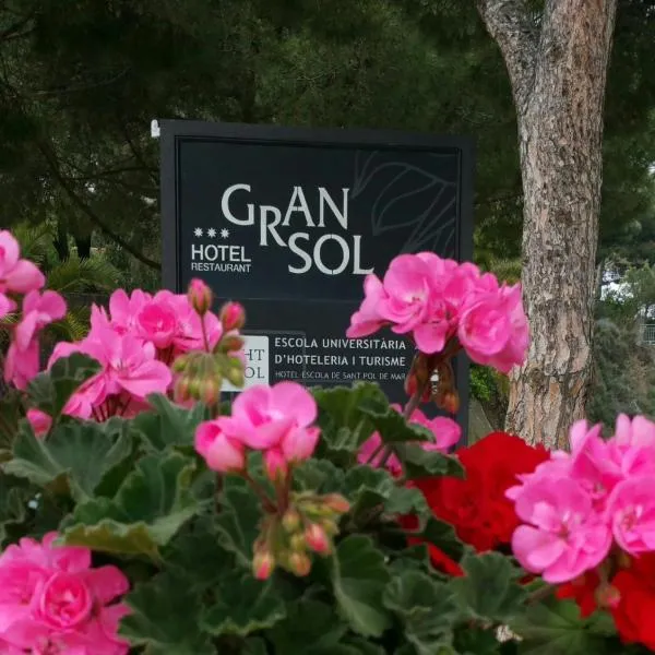 Gran Sol Hotel, hotel en Sant Cebrià de Vallalta