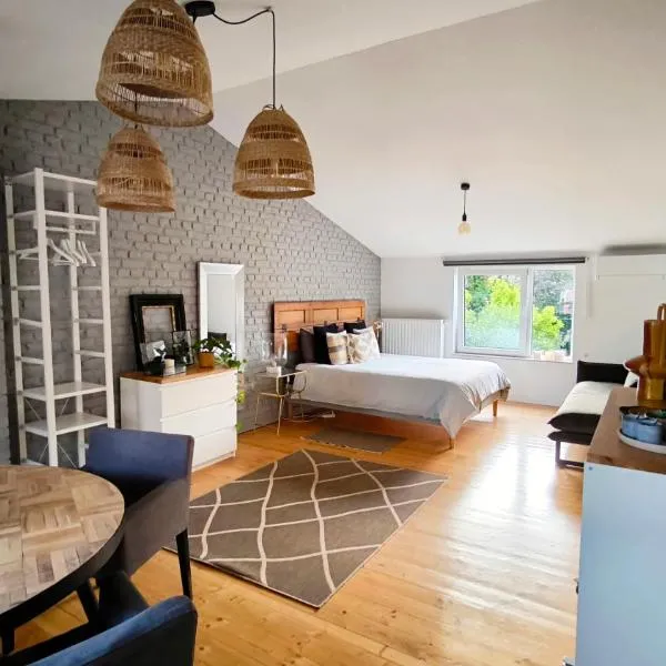 Office des bons enfants, hotel en Huy