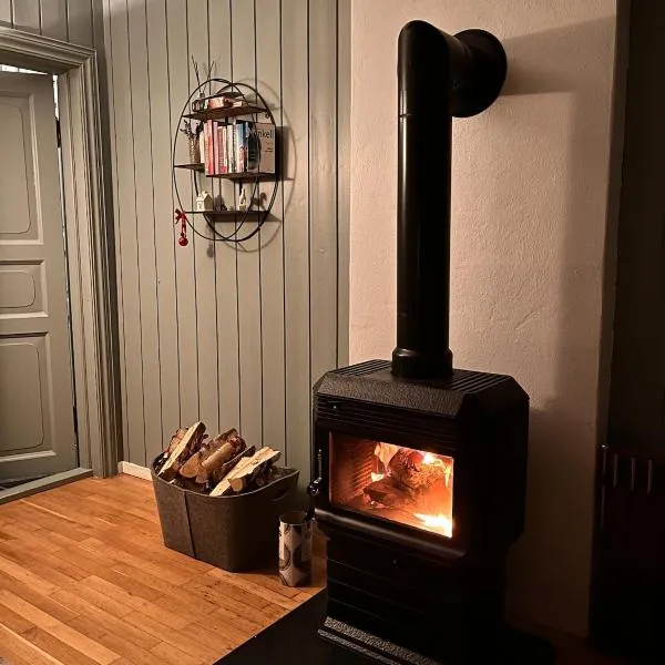 Cozy, small house in the heart of Telemark, hotel in Vradal