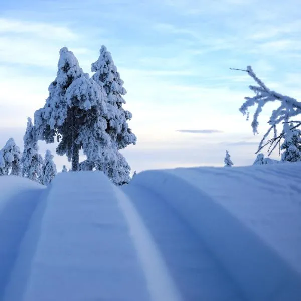 12 - Cabins at Fulufjellstunet - Winter Wonderland - Snow and Nature in Norway, hotel a Ljørdal