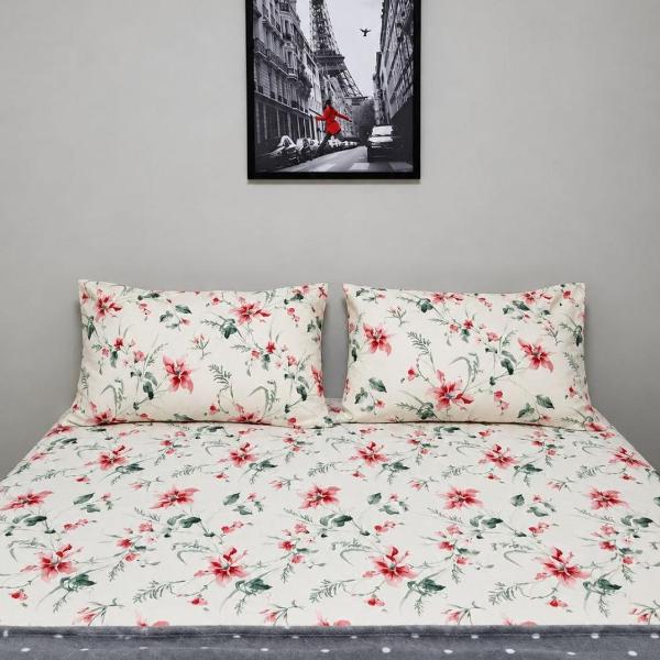 Estadia Premium Maringa 2