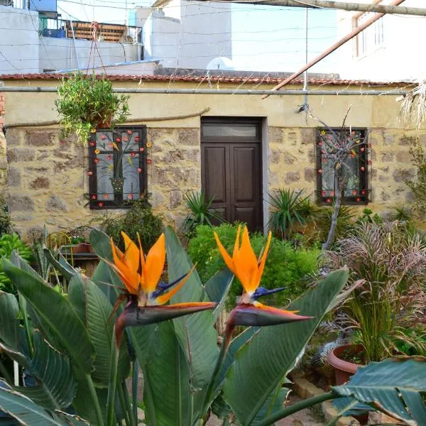 Mystery Garden Guest House, hotel v destinaci Famagusta