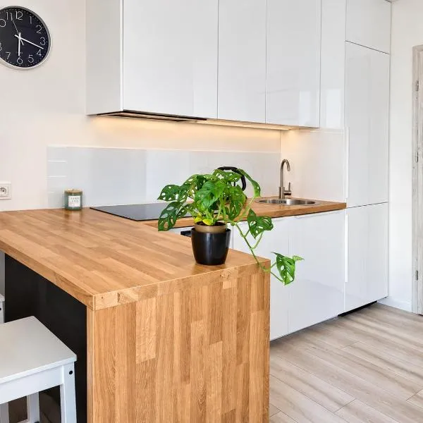 NGA Opacka Apartment 21, отель в Гданьске