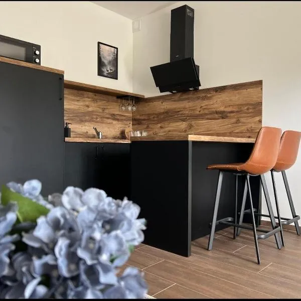 BT Plitvice Holiday, hotel u gradu 'Irinovac'