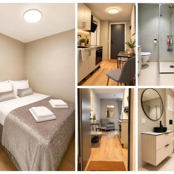 Gjøvik में, होटल 4-Newly renovated studio apartment in the middle of Gjøvik city centre