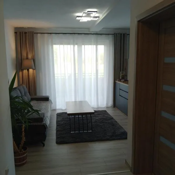 Apartament Grey, hotel v destinácii Gorzów Śląski