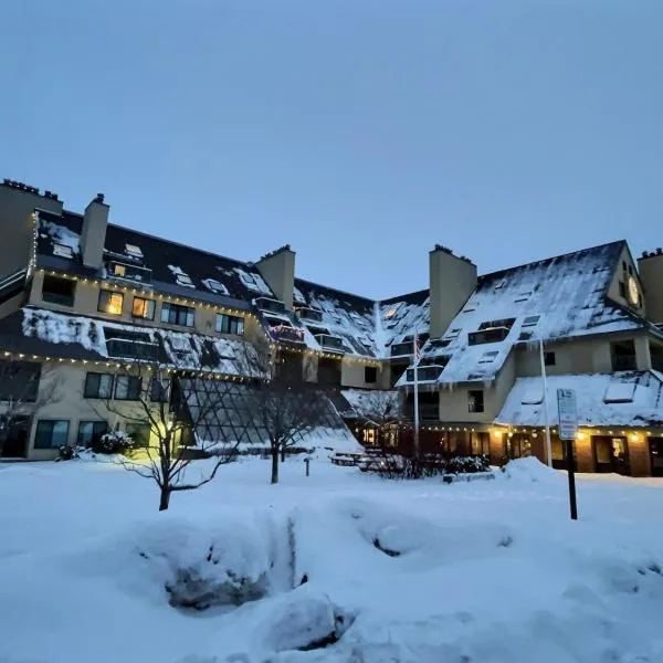 BearNecessities- Pool, Hot Tub, Gym, hotel en Killington
