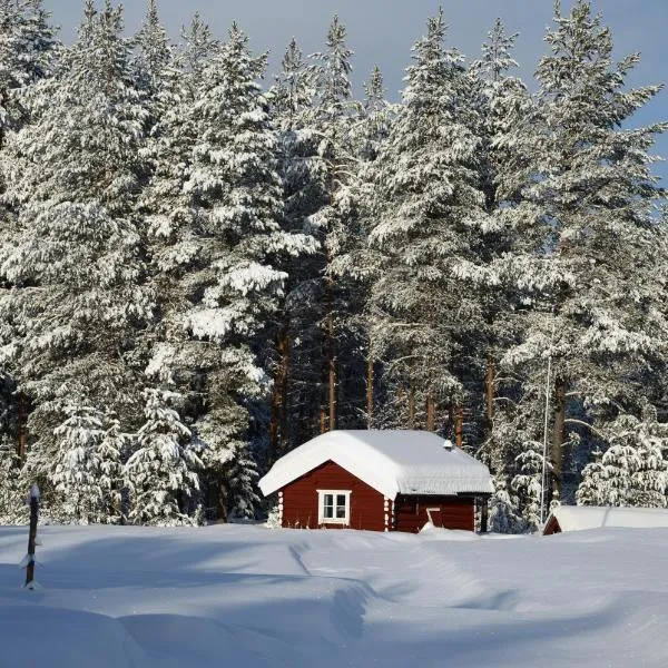 Cabin Dating from 1721 without internet - electricity or running water but with a traditional red painted outhouse, hotel a Ljørdal