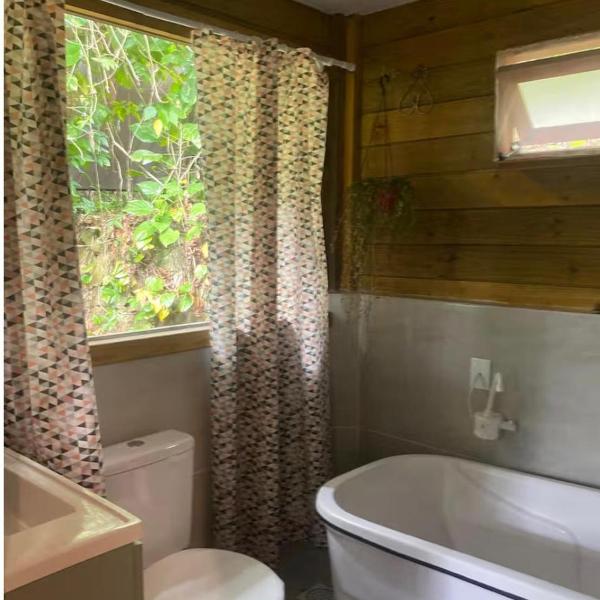 Casa na Floresta - Foto 3