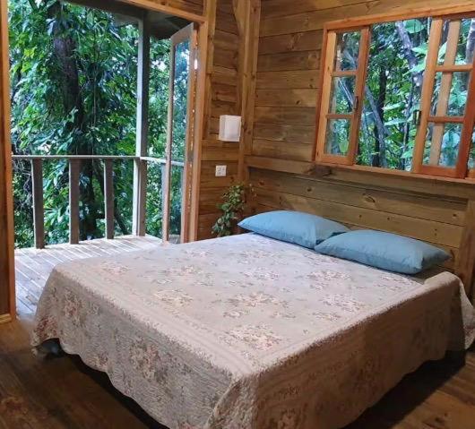 Casa na Floresta - Foto 2