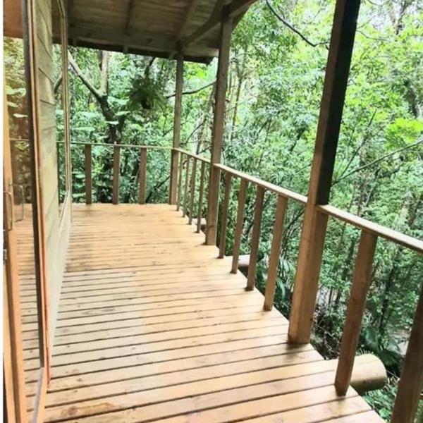 Casa na Floresta - Foto 5