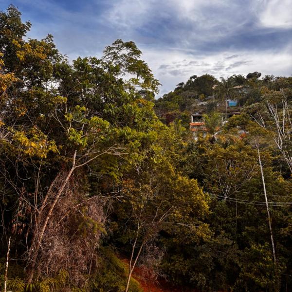 FLAT REINA MONA - Seu Refúgio Em Meio á Natureza !!!!! - Foto 5