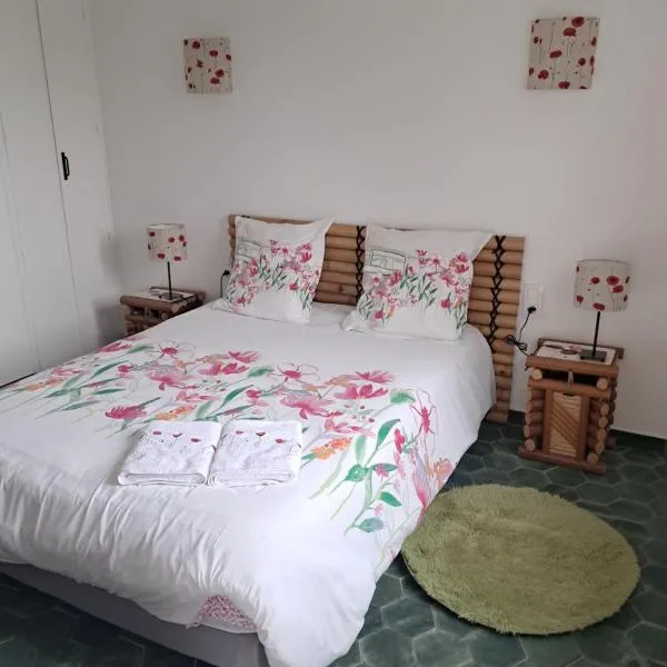 Gentil coquelicot, hotel u gradu Mirepoix