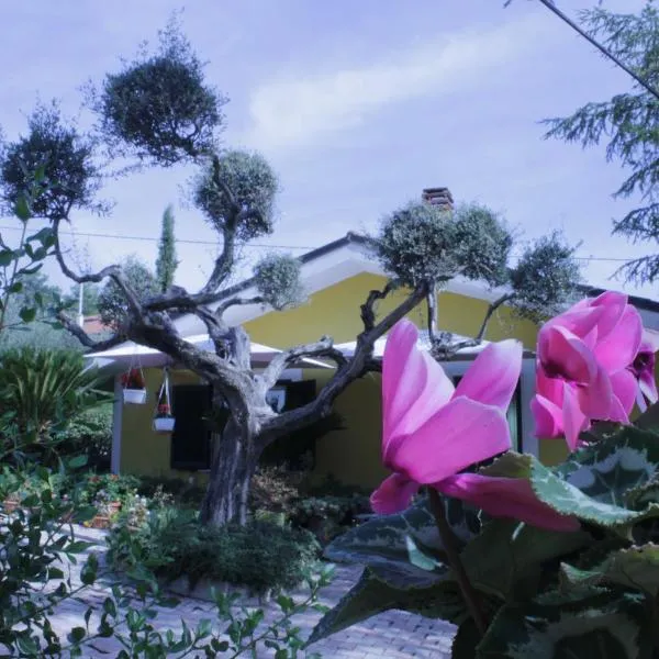 Pianella에 위치한 호텔 Bloemenhuis