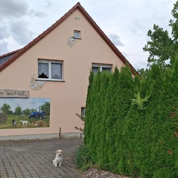 Pension Ronnys wilde Wiese, Hotel in Belgershain