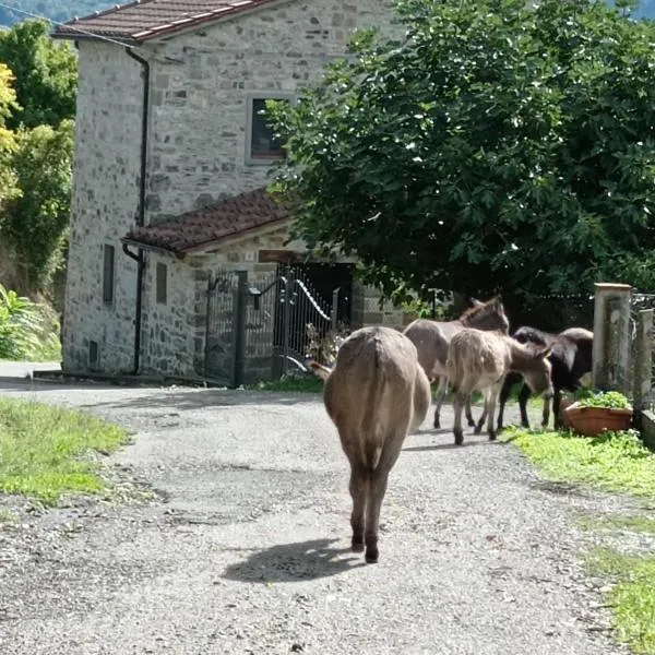 La caciaia di Bulcianella, hotel em Pieve Santo Stefano